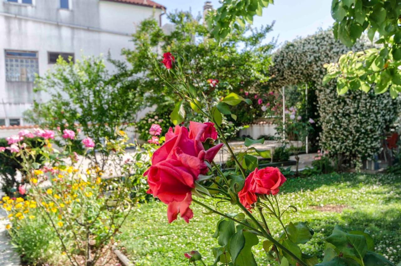 Apartments Zanze Vodice Zewnętrze zdjęcie